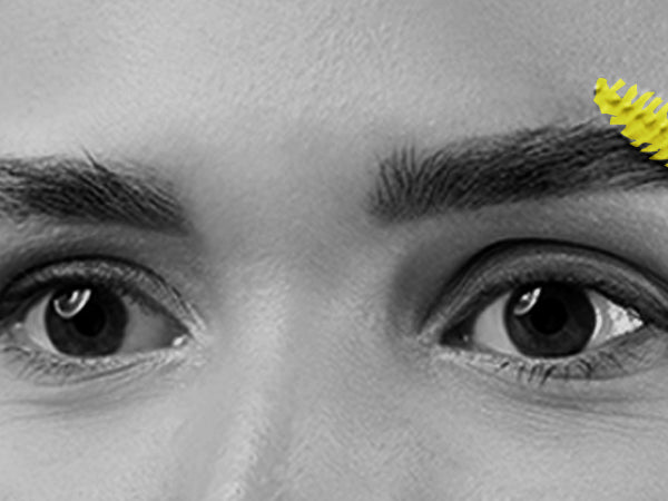 Brow- Wow Grooming