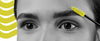 Brow- Wow Grooming