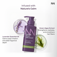 CINCINNUS Green Algae Extract Silky Smooth Shampoo