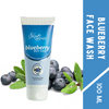 Skin Secrets Blueberry Face Wash 100 ml