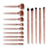 Iris Cosmetics Luminous Complete Brush Set