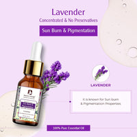 Passion Indulge Lavender Pure Essential Oil 10 ml