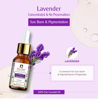 Passion Indulge Lavender Pure Essential Oil 10 ml