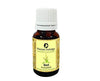 Passion Indulge Pure Basil Essential Oil 10 ml