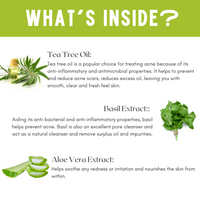 Skin Secrets Tea Tree Face Wash