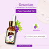 Passion Indulge Geranium Pure Essential Oil 10 ml