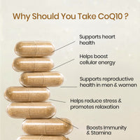 Vladoâ€™s Himalayan Organics Coenzyme Q10 | CoQ10 Supplement 300mg 30 Capsules