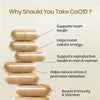 Vladoâ€™s Himalayan Organics Coenzyme Q10 | CoQ10 Supplement 300mg 30 Capsules