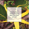 Passion Indulge Ylang Ylang Pure Essential Oil 10 ml