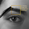 VLCC Clinic ProCare Brow & Lashes Oil 15 ml