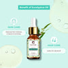 Passion Indulge Eucalyptus Pure Essential Oil 10 ml
