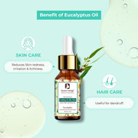 Passion Indulge Eucalyptus Pure Essential Oil 10 ml