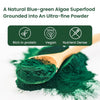 Vlado's Himalayan Organics Spirulina Superfood Powder – 100 gm
