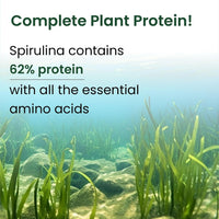 Vlado's Himalayan Organics Spirulina Superfood Powder – 100 gm