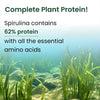 Vlado's Himalayan Organics Spirulina Superfood Powder – 100 gm