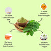 Vlado's Himalayan Organics Moringa Superleaf Powder – 200 gm