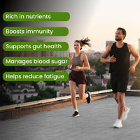 Vlado's Himalayan Organics Moringa Superleaf Powder – 200 gm