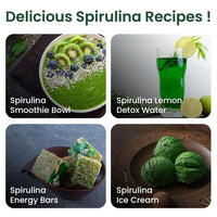 Vlado's Himalayan Organics Spirulina Superfood Powder – 100 gm