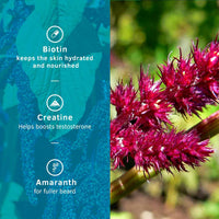 Ustraa Beard Growth Supplement
