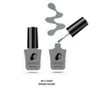 Asmee Classic Nail Polish Roman Silver