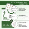 BAKE Zit Erase Micropoint Patches with 2% Salicylic Acid for Active Acne & Breakouts, Unclogs Pores & Reduces Acne, Pack of 9 Patches 30g - 2