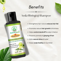 Bhudevam Naturals Khadi Amla Bhringraj Herbal Shampoo for Hair Fall Control & Strong Hair - 4