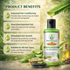 Bhudevam Naturals Khadi Aloe Vera Shampoo for Hair Growth & Scalp Care - 4