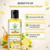 Bhudevam Naturals Khadi Herbal Honey Lemon Face Wash – Removes Dirt, Oil & Impurities Naturally - 12