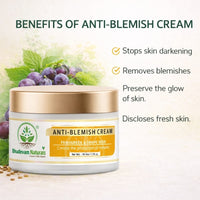 Bhudevam Naturals Khadi Anti Blemish Cream for Dark Spot Removal & Skin Brightening Moisturizer for Clear Skin 50gm - 2