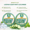 Bhudevam Naturals Khadi Mint Cucumber Loofah Soap – Natural Exfoliating Bath Soap for Cool & Refreshing Skin 250gm - 3