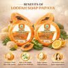 Bhudevam Naturals Khadi Papaya Loofah Soap – Natural Exfoliating Bath Soap for Glowing & Smooth Skin 250gm - 5