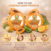 Bhudevam Naturals Khadi Papaya Loofah Soap – Natural Exfoliating Bath Soap for Glowing & Smooth Skin 250gm - 6