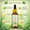 Bhudevam Naturals Khadi Basil Essential Oil for Hair Care, Aromatherapy, Stress Relief, Diffuser, Massage & Skin Care 15ml - 6