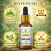 Bhudevam Naturals Khadi Eucalyptus Essential Oil for Steam Inhalation, Headache Relief & Muscle Pain 15ml - 3