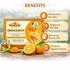 Bhudevam Naturals Khadi Orange Soap with Vitamin C – Skin Brightening & Refreshing Bath Bar 500gm - 3