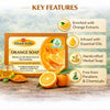 Bhudevam Naturals Khadi Orange Soap with Vitamin C – Skin Brightening & Refreshing Bath Bar 500gm - 6