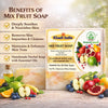 Bhudevam Naturals Khadi Handmade Mix Fruit Soap – Vitamin-Rich Skin Brightening Bath Soap 500gm - 5