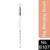 Boujee Beauty Big Blending Brush - B107