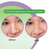 DR.Rashel Tea Tree Nose Pore Strips| 10 Strips & 10 Wipes 35 gm