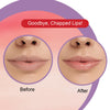DR.RASHEL Watermelon Lip Balm 25 gm