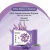 DR.RASHEL Lavender Face Wet Wipes pack of 2 25 gm