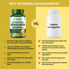 Vlado's Liposomal Ashwagandha 1000mg - Energy & Endurance, 60 Veg Caps