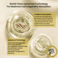 Vlado's Liposomal Ashwagandha 1000mg - Energy & Endurance, 60 Veg Caps