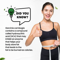 Vlado's Himalayan Organics Garcinia Cambogia Supplement - 60 Veg Capsules