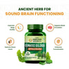 Vlado's Himalayan Organics Ginkgo Biloba for Healthy Brain Functions | 500Mg | 60 Veg Capsules