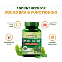 Vlado's Himalayan Organics Ginkgo Biloba for Healthy Brain Functions | 500Mg | 60 Veg Capsules