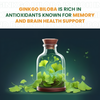 Vlado's Himalayan Organics Ginkgo Biloba for Healthy Brain Functions | 500Mg | 60 Veg Capsules
