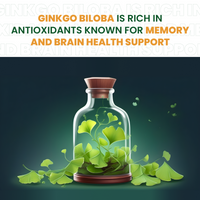 Vlado's Himalayan Organics Ginkgo Biloba for Healthy Brain Functions | 500Mg | 60 Veg Capsules