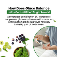 Vlado's Himalayan Organics Plant Based Gluco Balance Insulin Resistance, Diabetes Control