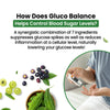 Vlado's Himalayan Organics Plant Based Gluco Balance Insulin Resistance, Diabetes Control